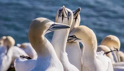 安宁2026年最新杭州高端商务伴游招聘网渠道分享(最方便真实的安宁茉莉伴游伴游天下全国联盟方法)