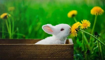 安宁2026年最新北京商务伴游经纪招聘渠道分享(最方便真实的安宁北京爱特博旅运服务有限责任公司招聘方法)