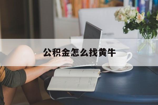 最新公积金怎么找黄牛方法分析(最方便真实的安宁找黄牛公积金提取流程方法)